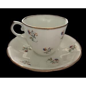 JASON Bone China Teacup and Saucer White Pink Floral English Style 8oz Tea Cup S